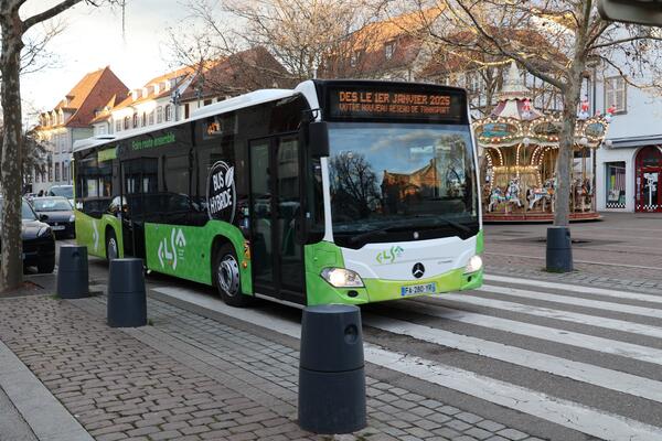 Bus