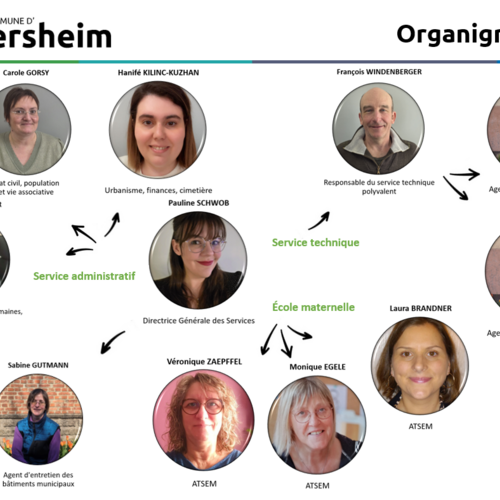 Organigramme